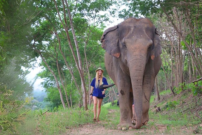 Ethical Elephant Sanctuary Tour from Bangkok & Pattaya - Meeting the elephants in Khao Kheow