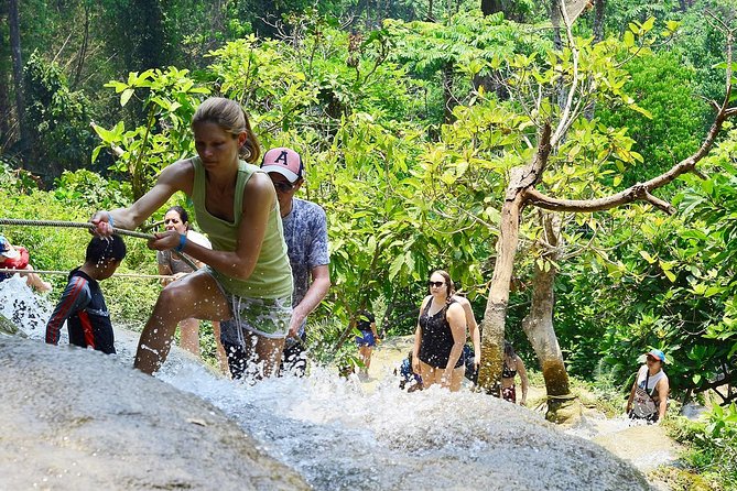 Experience Elephant Sanctuary + Sticky Waterfall - Bathing the elephants in the river
