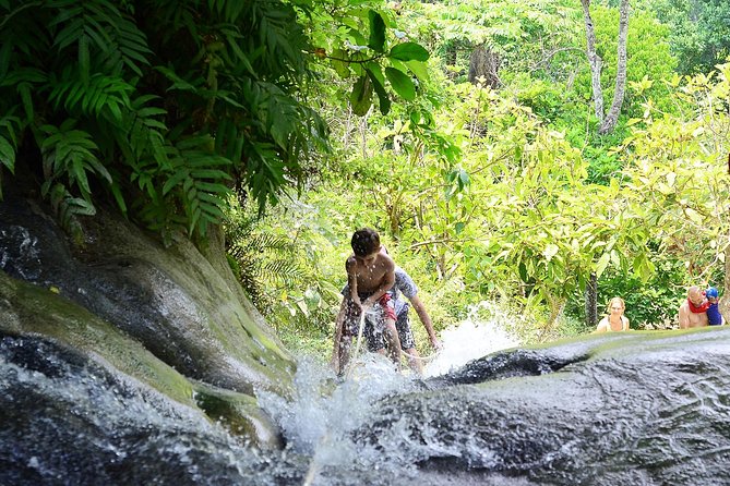 Experience Elephant Sanctuary + Sticky Waterfall - Lunch with a practical pause