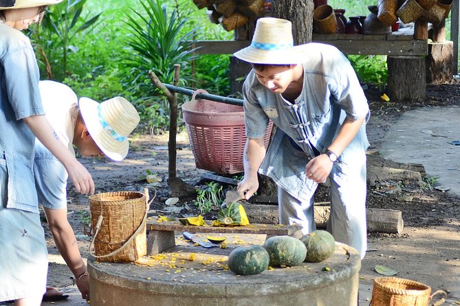 Experience Elephant Sanctuary + Sticky Waterfall - Climbing Chiang Mai’s Sticky Waterfall