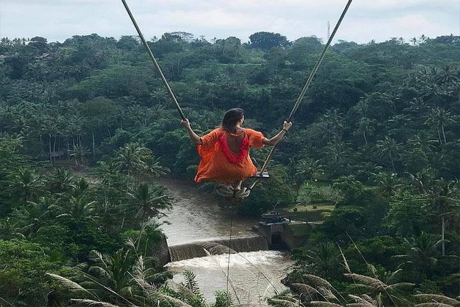 Experience Full Day to Bali Swing Temple and Monkey Forest - A 10-hour route built around the Bali swing
