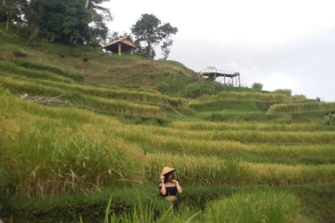 Experience Full Day to Bali Swing Temple and Monkey Forest - What the long day feels like in practice