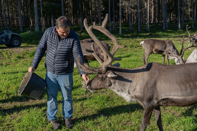 Experience Reindeer Farm and Ranua Wildlife Park in Rovaniemi - Starting at Jaakonkatu 4-6 at 9:00 am