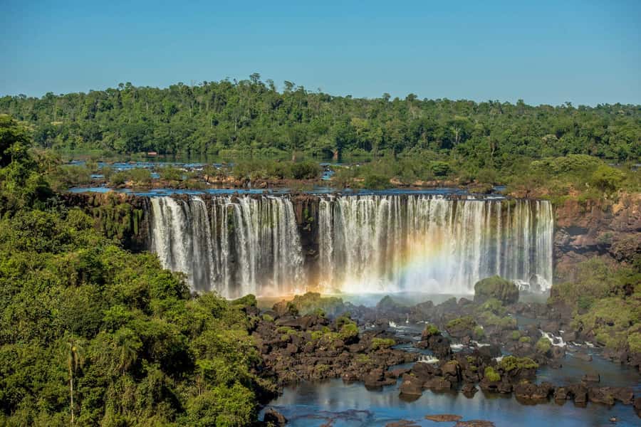 Explore the Falls, Bird Park and Macuco Safari - Why this Iguazu day works so well