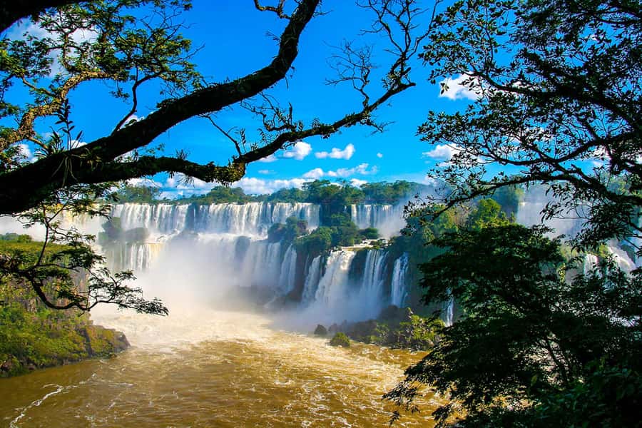 Explore the Falls, Bird Park and Macuco Safari - The panoramic waterfall circuit