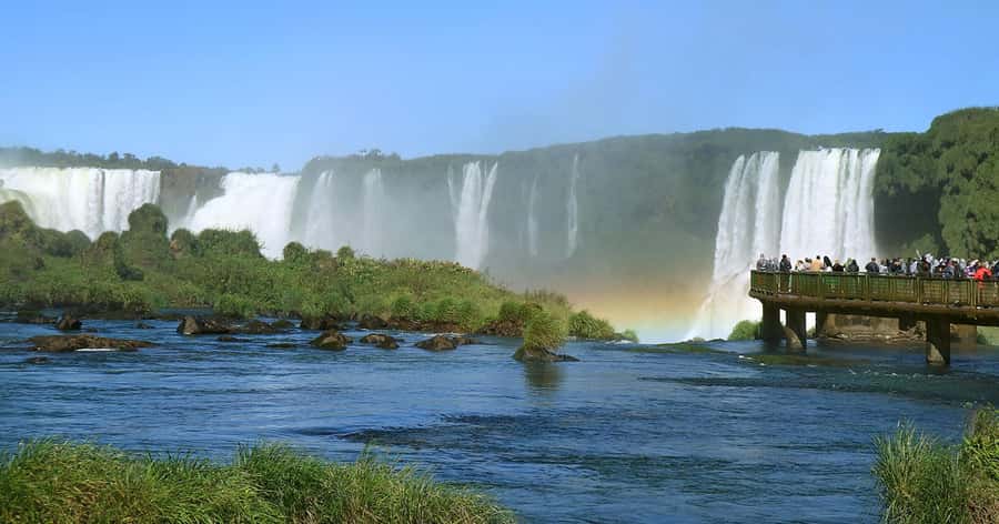 Explore the Falls, Bird Park and Macuco Safari - Parque das Aves and close bird encounters