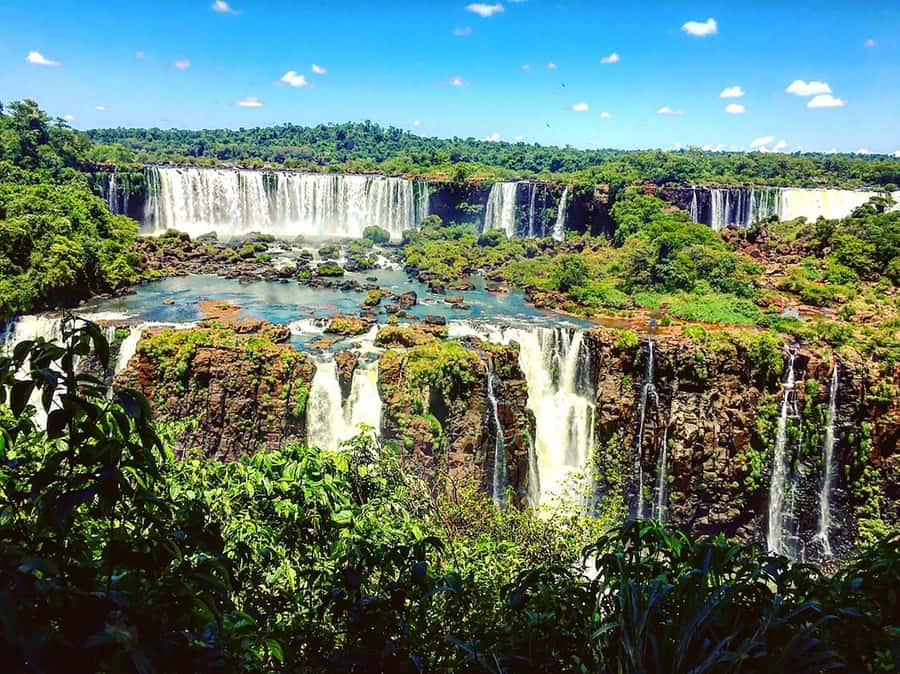 Explore the Falls, Bird Park and Macuco Safari - What the $230 price means