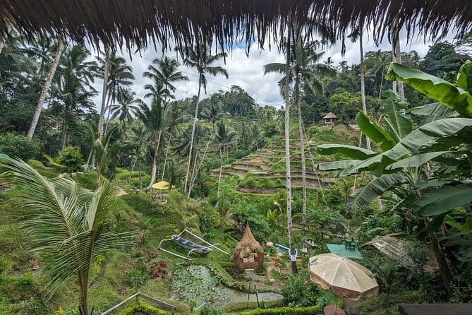 Explore Ubud Art Market, Monkey Forest and Rice Terraces - A full day built around Ubud’s greatest hits