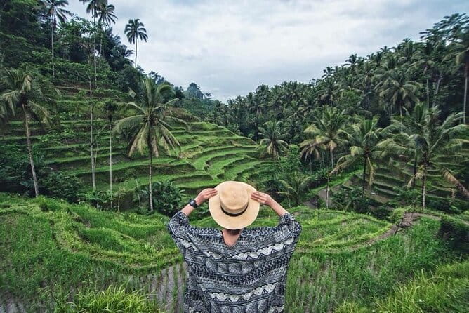 Explore Ubud Art Market, Monkey Forest and Rice Terraces - Tegallalang Rice Terraces and the famous swing