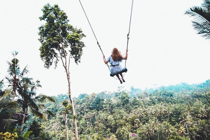 Explore Ubud Art Market, Monkey Forest and Rice Terraces - The driver can shape the experience