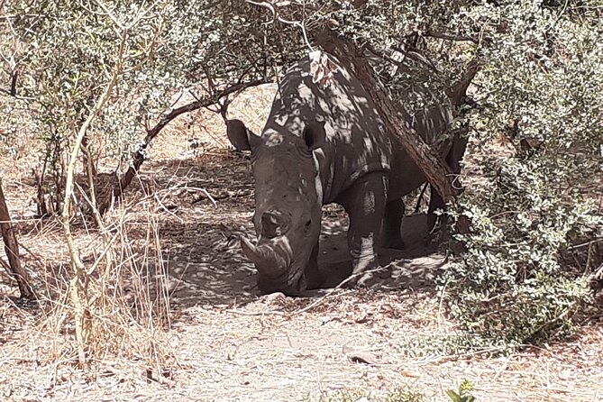 Fathala Wildlife Park - The 4WD drive and what you may see