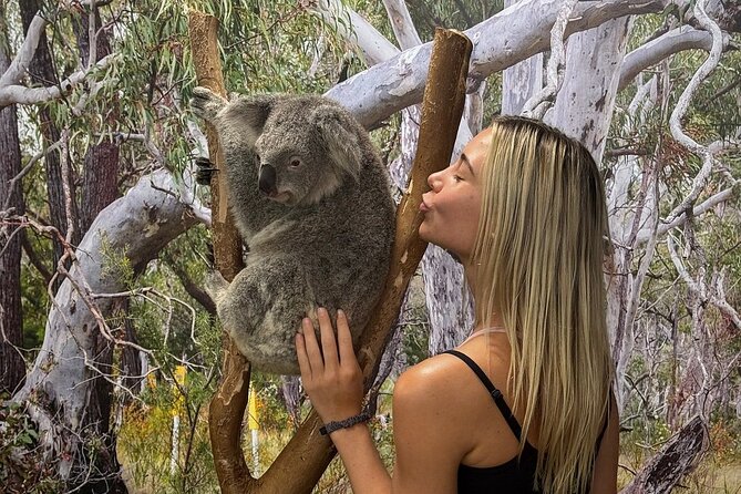 Featherdale Wildlife Park with Exclusive Private Transfers - Key points at a glance
