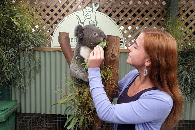 Featherdale Wildlife Park with Exclusive Private Transfers - Timing matters more than the short schedule suggests