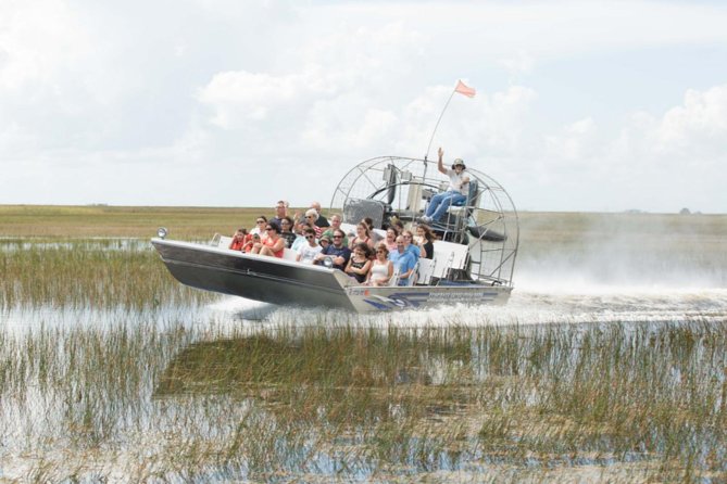 Florida Everglades Airboat Adventure and Wildlife Encounter - The airboat ride: speed, noise, and wildlife