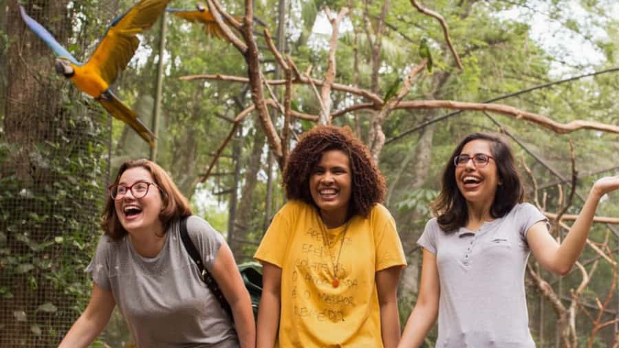 Foz do Iguaçu: Bird Park Tour with Tickets - Key points to know before you book