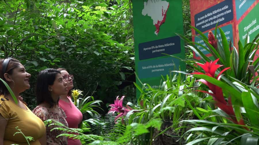 Foz do Iguaçu: Bird Park Tour with Tickets - Walking the two-hour jungle route