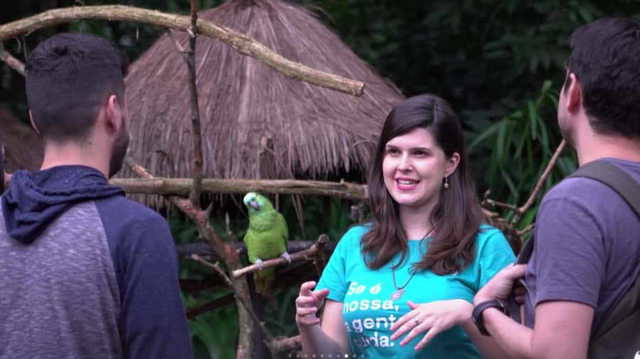 Foz do Iguaçu: Bird Park Tour with Tickets - Alligators, reptiles, moths, and the beehive