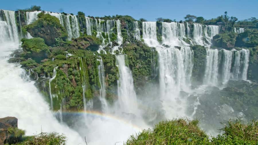 Foz do Iguaçu: Brazilian Side of the Falls + Bird Park - Why this half-day pairing works so well