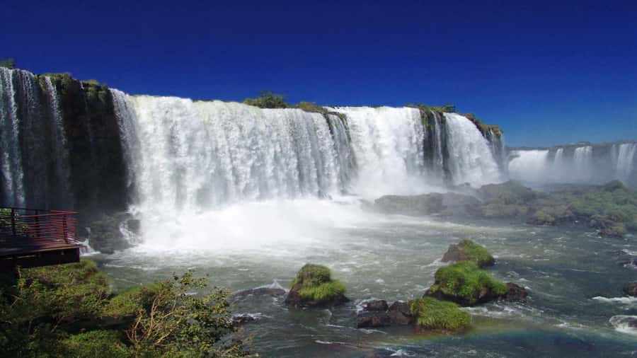 Foz do Iguaçu: Brazilian Side of the Falls + Bird Park - The Bird Park’s 1.5 to 2-hour walk