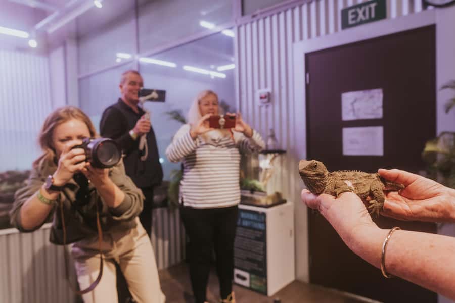 Franz Josef: West Coast Wildlife Centre Entry Ticket -48 hrs - The open kiwi room and why it matters