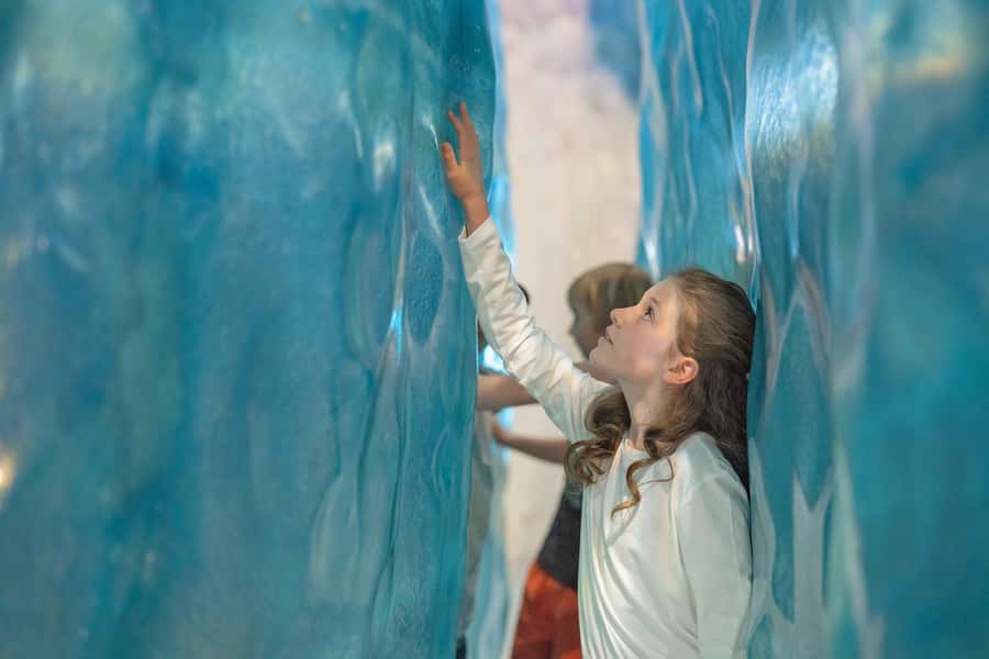 Franz Josef: West Coast Wildlife Centre Entry Ticket -48 hrs - A useful rainy-day plan near the glacier
