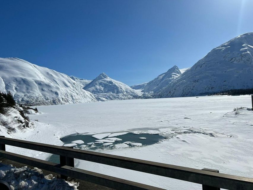 From Anchorage: Alaska Wildlife Center & Turnagain Arm Tour - Key points to know before you go