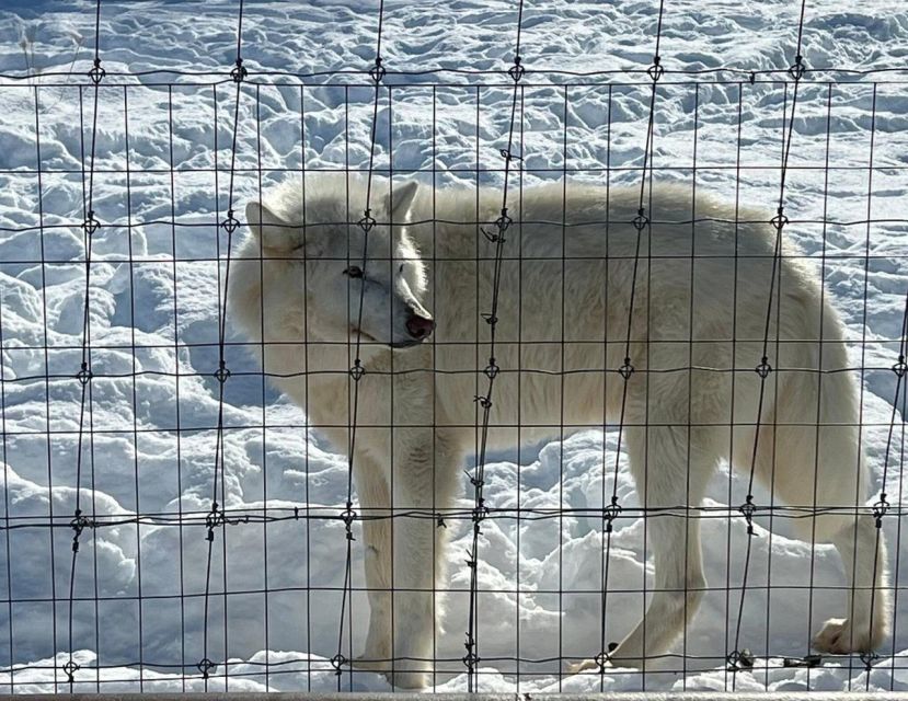 From Anchorage: Alaska Wildlife Center & Turnagain Arm Tour - Weather, clothing, and the pace of the day