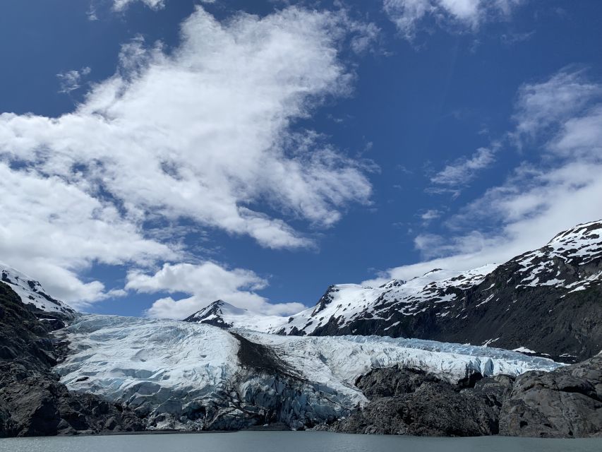 From Anchorage: Valley of Glaciers & Wildlife Center Tour - Following Turnagain Arm on the Seward Highway