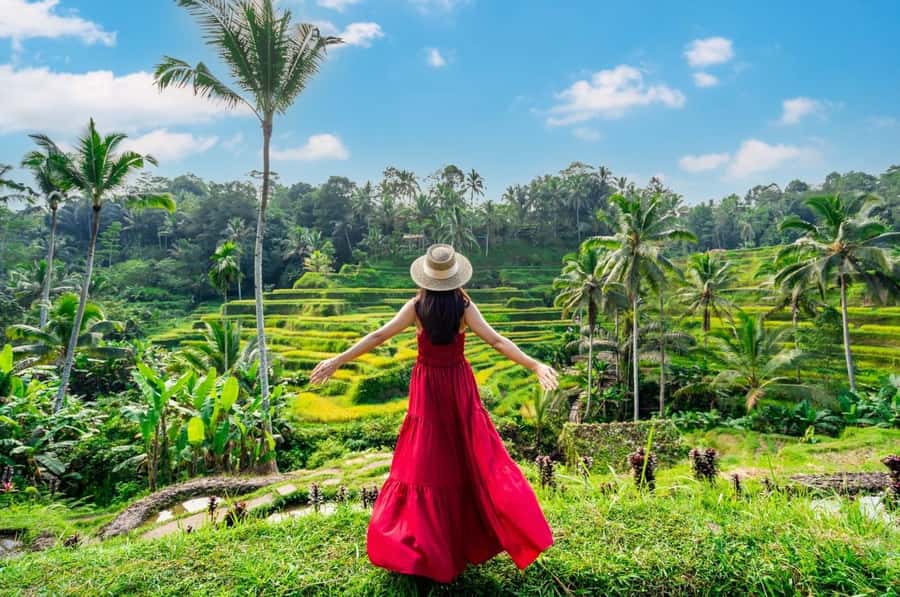 From Bali: Saraswati Temple, Monkey Forest, Ubud Waterfalls - What the $34 price really gets you