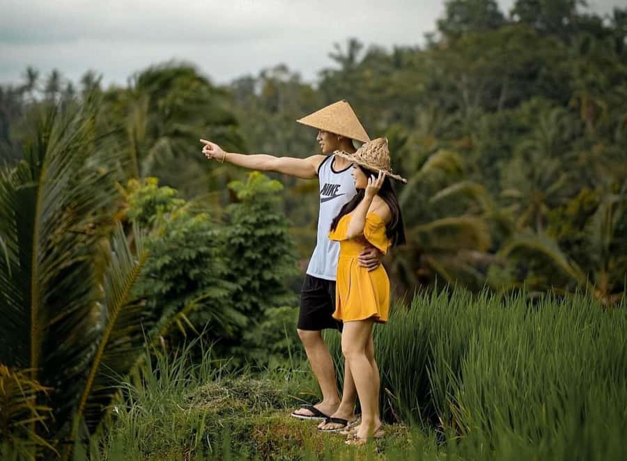 From Bali: Saraswati Temple, Monkey Forest, Ubud Waterfalls - Monkey Forest: beautiful, lively, and not careless
