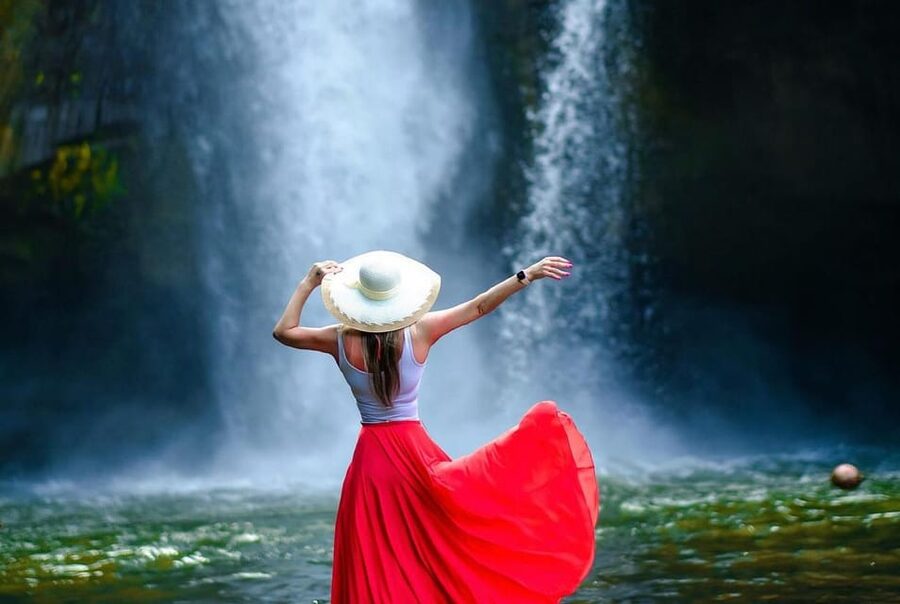From Bali: Saraswati Temple, Monkey Forest, Ubud Waterfalls - The coffee plantation and optional village stop