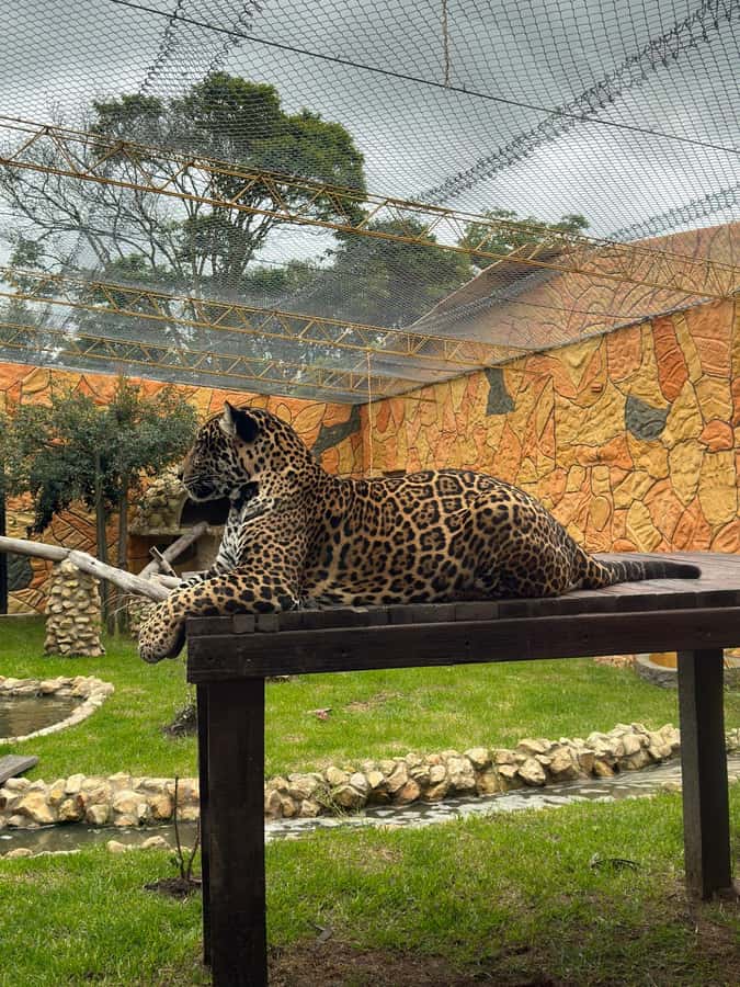 From Bogota: Jaime Duque Park and zoo with ticket included - A private ride from Bogotá makes the timing easier