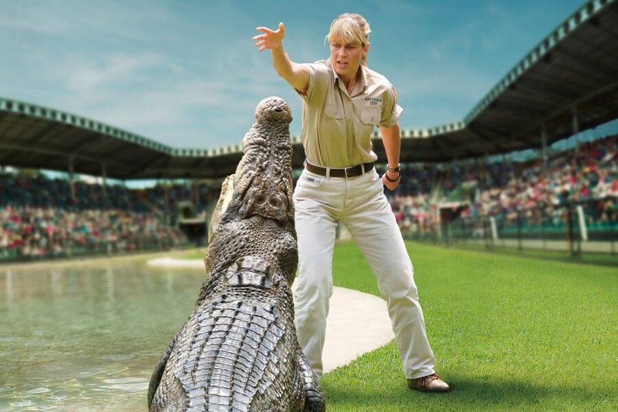 From Brisbane: Australia Zoo Ticket and Roundtrip Transfer - The drive north via pineapple farms and Glass House Mountains