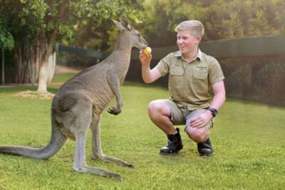 Brisbane: Australia Zoo Ticket and Roundtrip Transfer