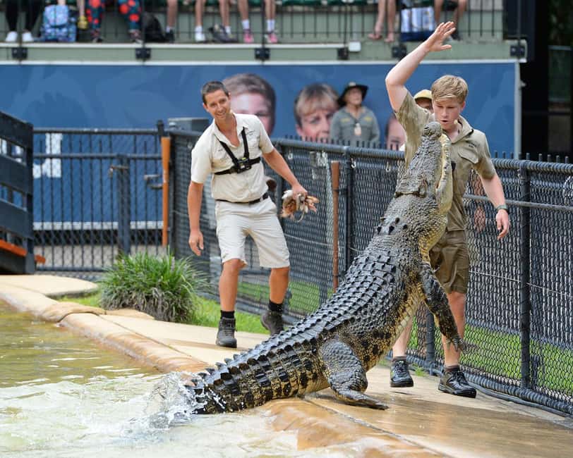 From Brisbane: Australia Zoo Ticket and Roundtrip Transfer - The return journey to Brisbane