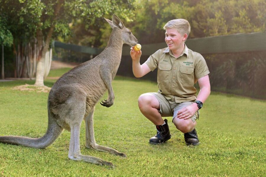 From Brisbane: Australia Zoo Ticket and Roundtrip Transfer - Meeting the coach in central Brisbane
