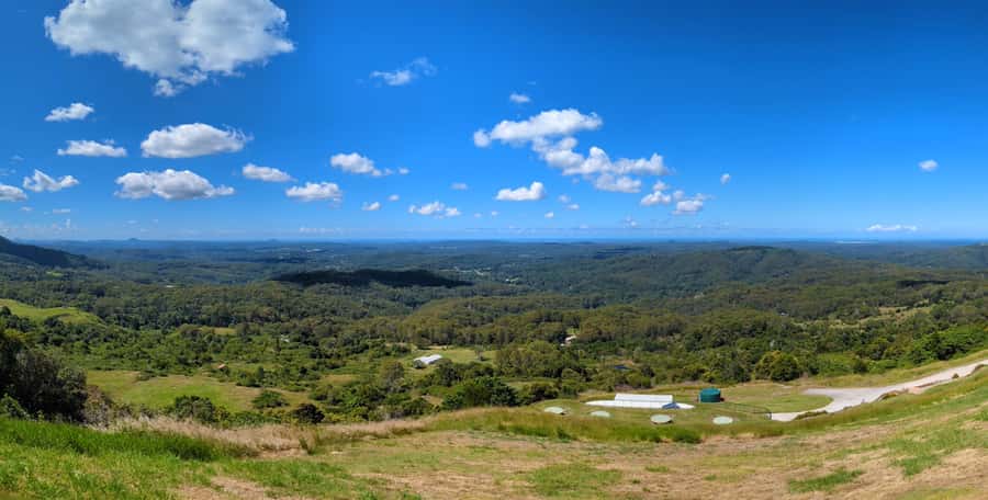 From Brisbane: Day Trip to Noosa, Glass House Mtns and Zoo - Who should book this Sunshine Coast tour?