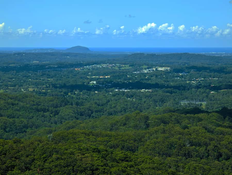 From Brisbane: Day Trip to Noosa, Glass House Mtns and Zoo - Practical advice before you go