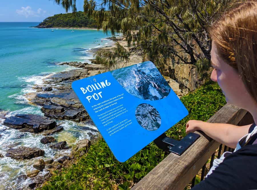 From Brisbane: Day Trip to Noosa, Glass House Mtns and Zoo - Wildlife HQ and the cost of meeting Australian animals