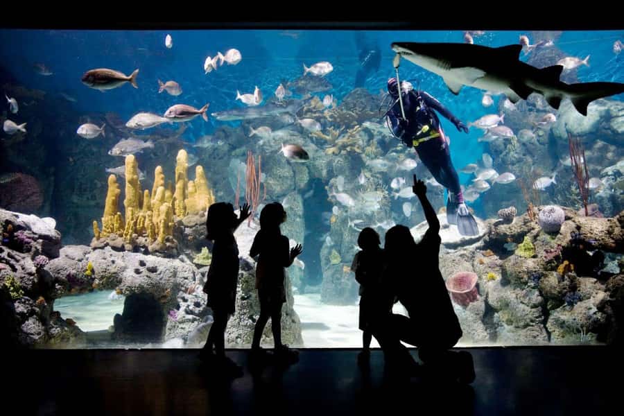From Buenos Aires: Temaiken Zoo Tour with Ticket Included - Should you book Temaikèn with Gray Line Argentina?