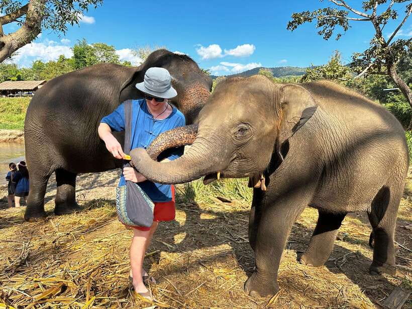 From Chiang Mai: Living Green Elephant Sanctuary Tour - Key points at a glance