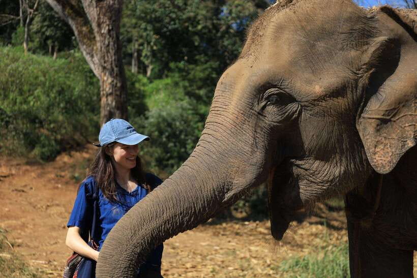 From Chiang Mai: Living Green Elephant Sanctuary Tour - The 1.5-hour drive from Chiang Mai