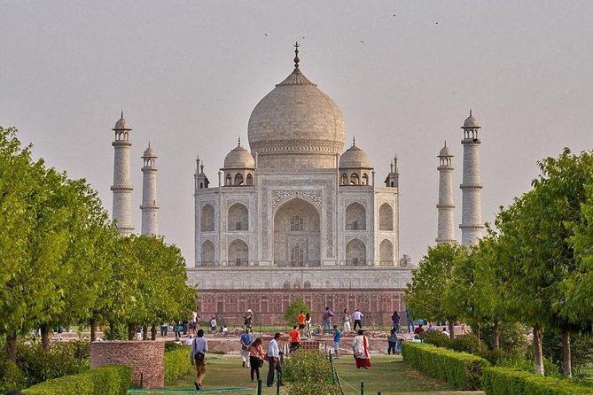 From Delhi: Taj Mahal & SOS Elephant Experience – Day Trip - A quieter hour with rescued elephants