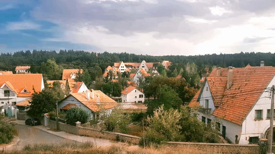 From Fez: Middle Atlas and Monkey Forest Day Trip - Ain Vital and the road to Ifrane