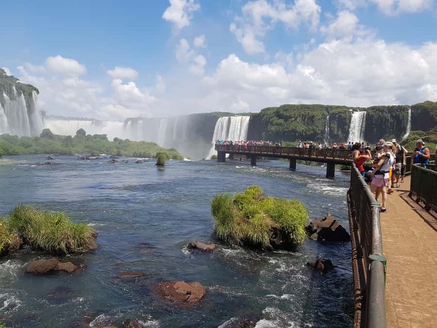 From Foz do Iguaçu: Brazilian Falls and Bird Park Tour - Why this pairing works so well