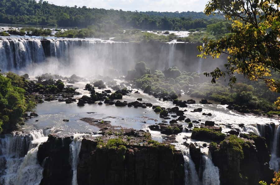 From Foz do Iguaçu: Brazilian Falls and Bird Park Tour - Driving through Iguaçu National Park