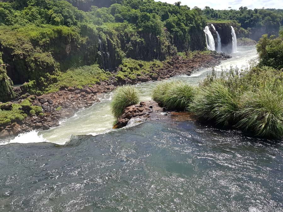 From Foz do Iguaçu: Brazilian Falls and Bird Park Tour - The Brazilian falls trail and its wide views