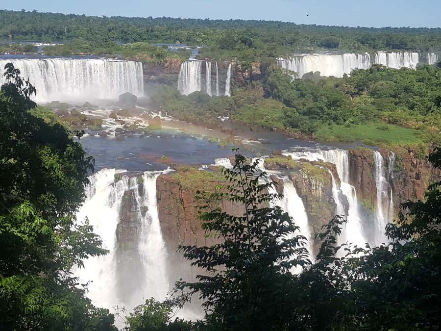 From Foz do Iguaçu: Brazilian Falls and Bird Park Tour - What the $38 price really covers