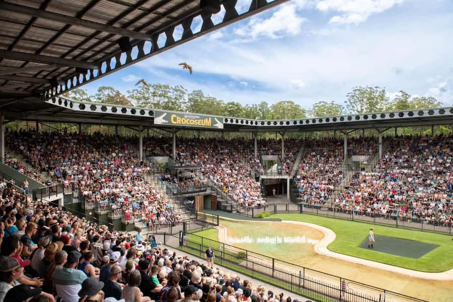 From Gold Coast : Australia Zoo Transfer and Entry Ticket - Getting your bearings inside Australia Zoo