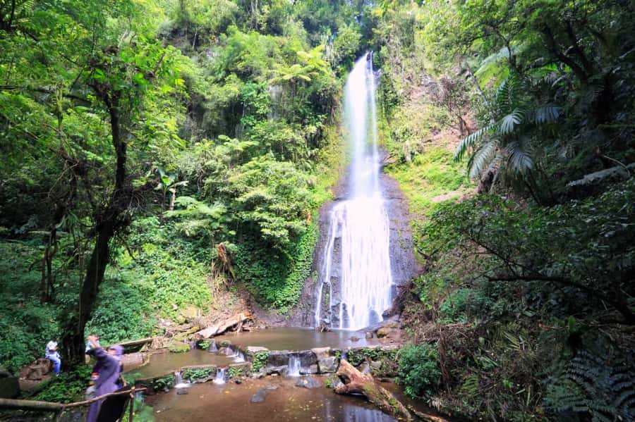 From Jakarta: Safari Park, Tea Plantation & Jaksa Waterfall - Key points to know before booking
